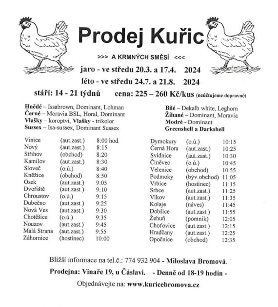 Prodej kuřic