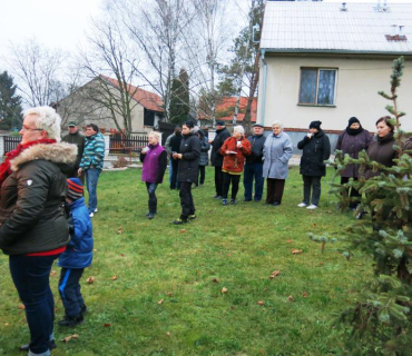 Rozsvícení vánočního stromečku v parku 30. listopadu 2014