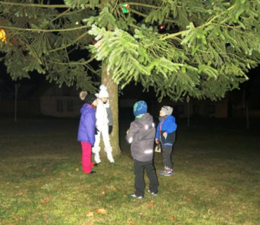 Rozsvícení vánočního stromečku v parku 30. listopadu 2014