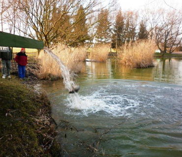 Nákup ryb do rybníka Zásadník 25. února 2014