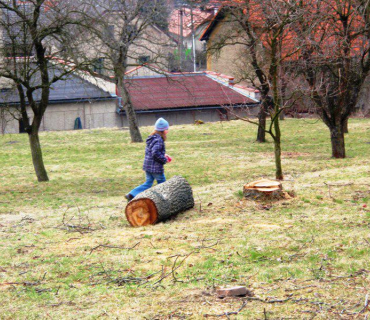 Hledání velikonočního zajíčka 29.3.2013