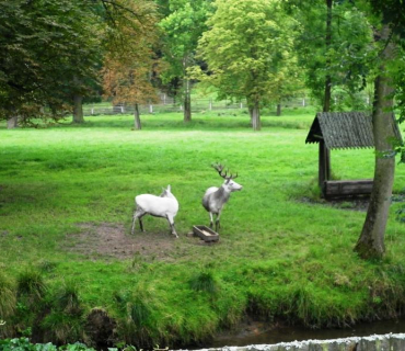 Výlet zámek Žleby 4.8.2012