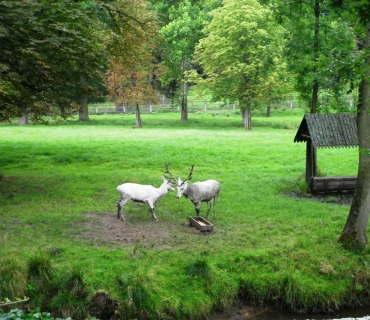 Výlet zámek Žleby 4.8.2012