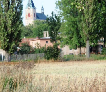 Činěves 20.7.2012