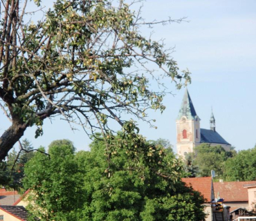 Činěves 20.7.2012