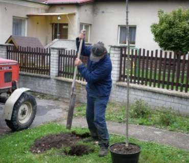 Výsadba stromů 11.10.2011