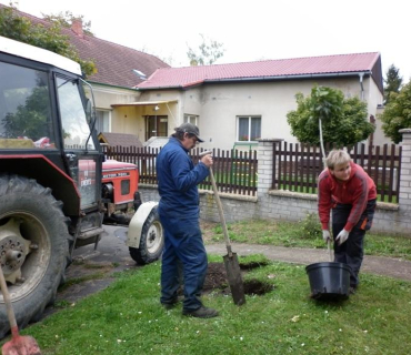 Výsadba stromů 11.10.2011