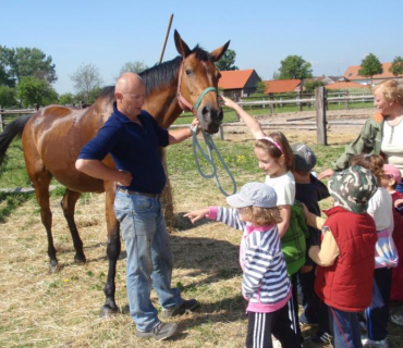 Výlet - koně 2011