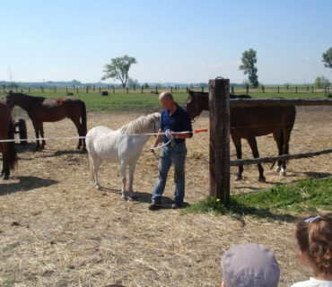 Výlet - koně 2011