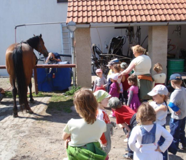 Výlet - koně 2011