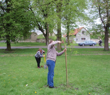 Výsadba rostlin v obci 26.4.2011