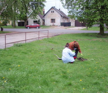 Výsadba rostlin v obci 26.4.2011