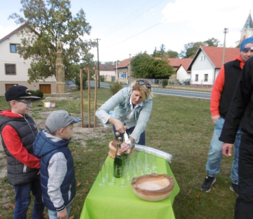 Vysazení vrby